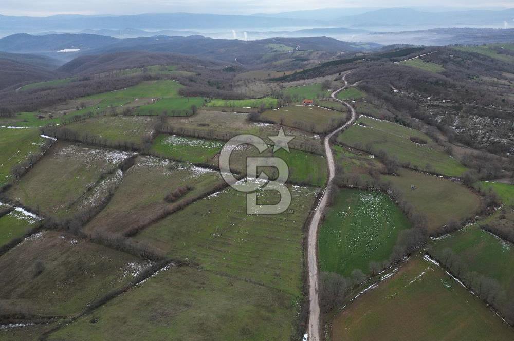 ÇANAKKALE ÇAN BOSTANDERE SATLIK CEVİZLİK 14.125 M2