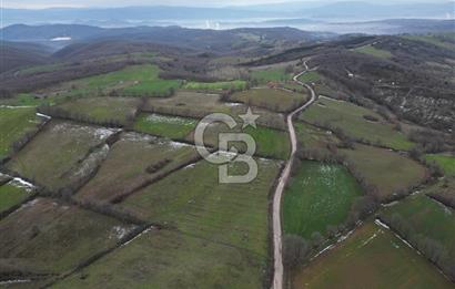 ÇANAKKALE ÇAN BOSTANDERE SATLIK CEVİZLİK 14.125 M2