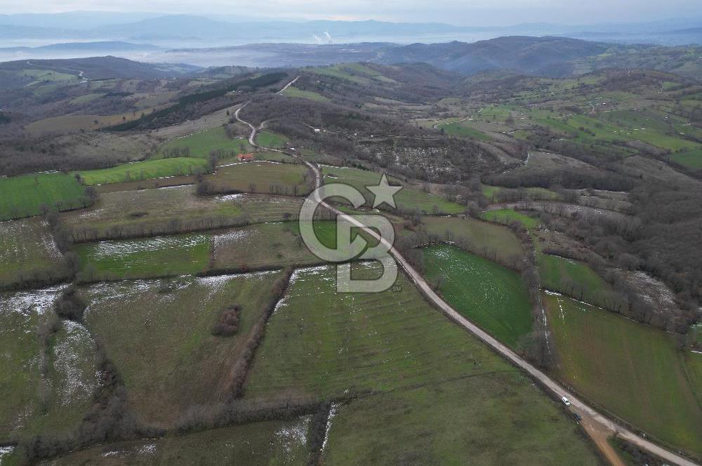 ÇANAKKALE ÇAN BOSTANDERE SATLIK CEVİZLİK 14.125 M2