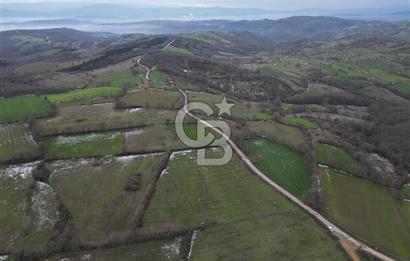 ÇANAKKALE ÇAN BOSTANDERE SATLIK CEVİZLİK 14.125 M2