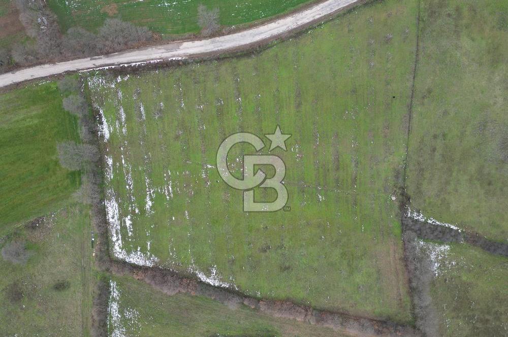 ÇANAKKALE ÇAN BOSTANDERE SATLIK CEVİZLİK 14.125 M2