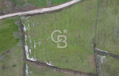 ÇANAKKALE ÇAN BOSTANDERE SATLIK CEVİZLİK 14.125 M2