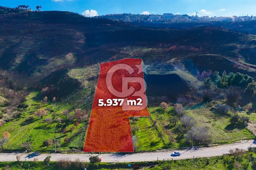 ÇANAKKALE İNTEPE DENİZ KENARI SATILIK ZEYTİNLİK