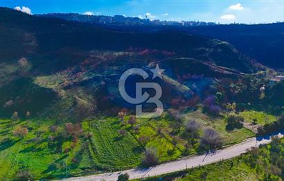 ÇANAKKALE İNTEPE DENİZ KENARI SATILIK ZEYTİNLİK