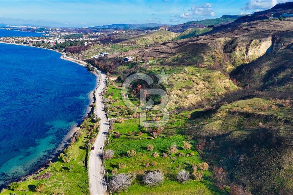 ÇANAKKALE İNTEPE DENİZ KENARI SATILIK ZEYTİNLİK