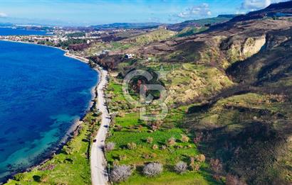 ÇANAKKALE İNTEPE DENİZ KENARI SATILIK ZEYTİNLİK