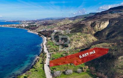 ÇANAKKALE İNTEPE DENİZ KENARI SATILIK ZEYTİNLİK
