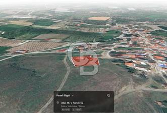 SEFERİHİSAR DÜZCE MAHALLESİ İMAR SINIRINDA YATIRIMLIK SATILIK ARAZİ  - 2 - 330914