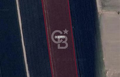 Muratbey mahallesinde satılık tarla