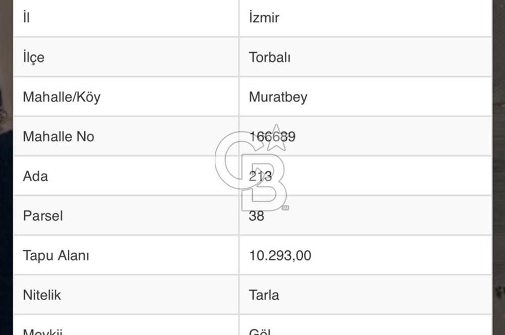 Muratbey mahallesinde satılık tarla