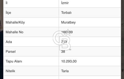 Muratbey mahallesinde satılık tarla