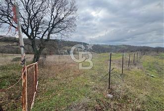 ÇANAKKALE ÇAN BOSTANDERE SATILIK 6.250 M2 CEVİZLİK - 1 - 330926