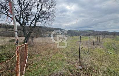 ÇANAKKALE ÇAN BOSTANDERE SATILIK 6.250 M2 CEVİZLİK