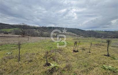 ÇANAKKALE ÇAN BOSTANDERE SATILIK 6.250 M2 CEVİZLİK