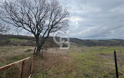 ÇANAKKALE ÇAN BOSTANDERE SATILIK 6.250 M2 CEVİZLİK