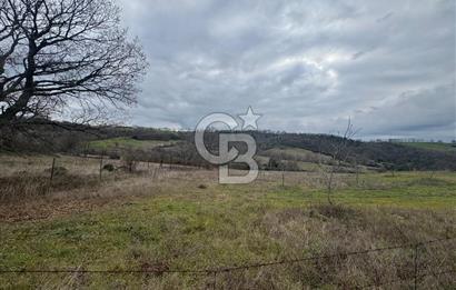 ÇANAKKALE ÇAN BOSTANDERE SATILIK 6.250 M2 CEVİZLİK