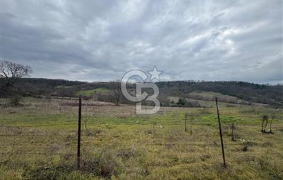 ÇANAKKALE ÇAN BOSTANDERE SATILIK 6.250 M2 CEVİZLİK