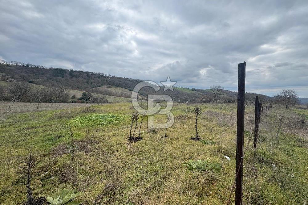 ÇANAKKALE ÇAN BOSTANDERE SATILIK 6.250 M2 CEVİZLİK
