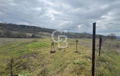 ÇANAKKALE ÇAN BOSTANDERE SATILIK 6.250 M2 CEVİZLİK