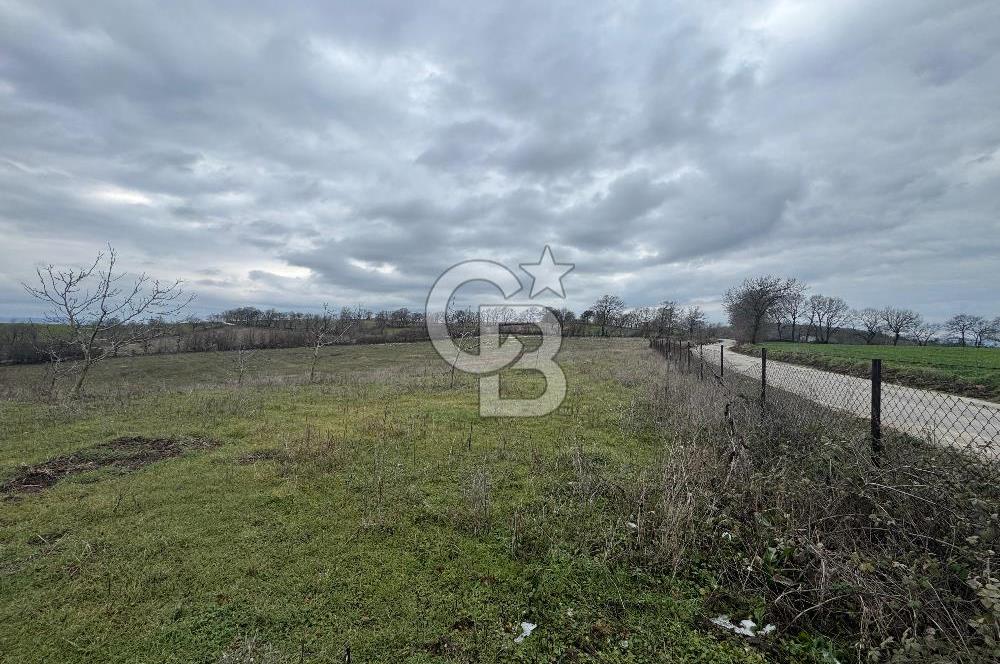 ÇANAKKALE ÇAN BOSTANDERE SATLIK CEVİZLİK 14.125 M2