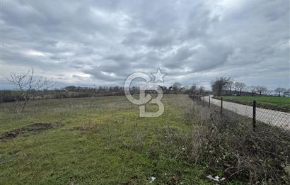 ÇANAKKALE ÇAN BOSTANDERE SATLIK CEVİZLİK 14.125 M2