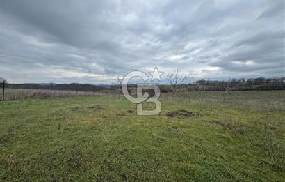 ÇANAKKALE ÇAN BOSTANDERE SATLIK CEVİZLİK 14.125 M2