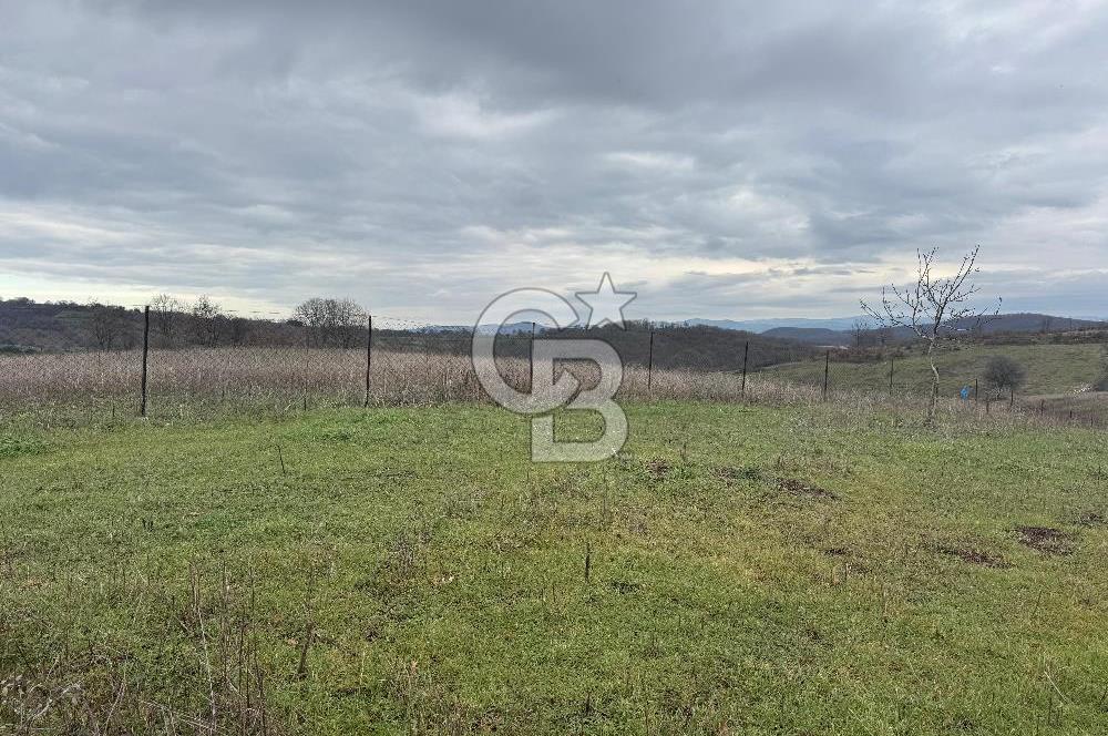 ÇANAKKALE ÇAN BOSTANDERE SATLIK CEVİZLİK 14.125 M2