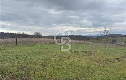 ÇANAKKALE ÇAN BOSTANDERE SATLIK CEVİZLİK 14.125 M2