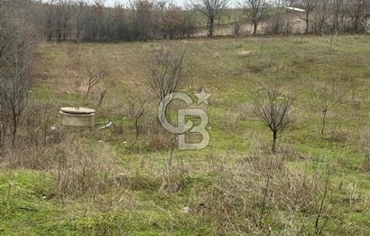 ÇANAKKALE ÇAN BOSTANDERE SATLIK CEVİZLİK 14.125 M2