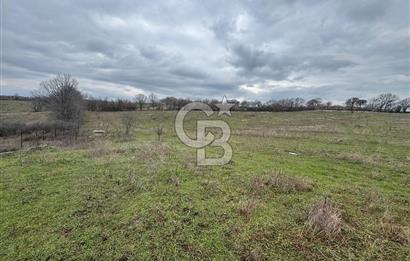 ÇANAKKALE ÇAN BOSTANDERE SATLIK CEVİZLİK 14.125 M2