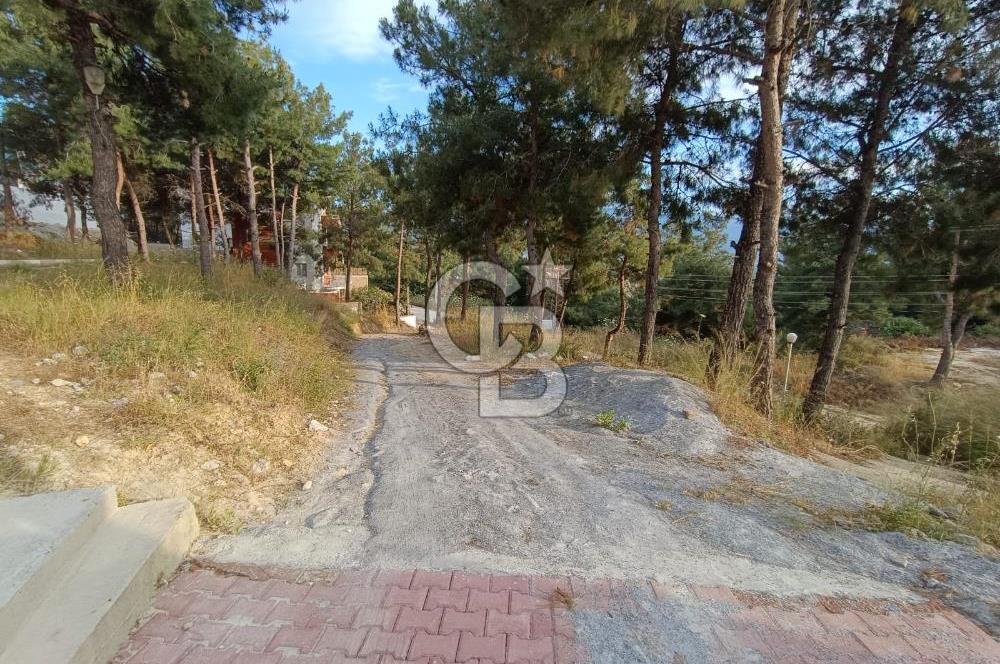 Kuşadası soğucakta 800 m2 arsa içerisinde 5+2 satılık havuzlu villa