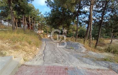 Kuşadası soğucakta 800 m2 arsa içerisinde 5+2 satılık havuzlu villa