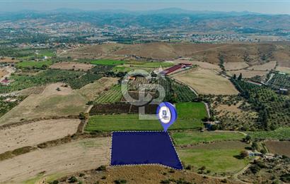 İzmir Seferihisar'da Yatırıma Uygun Satılık Tarla