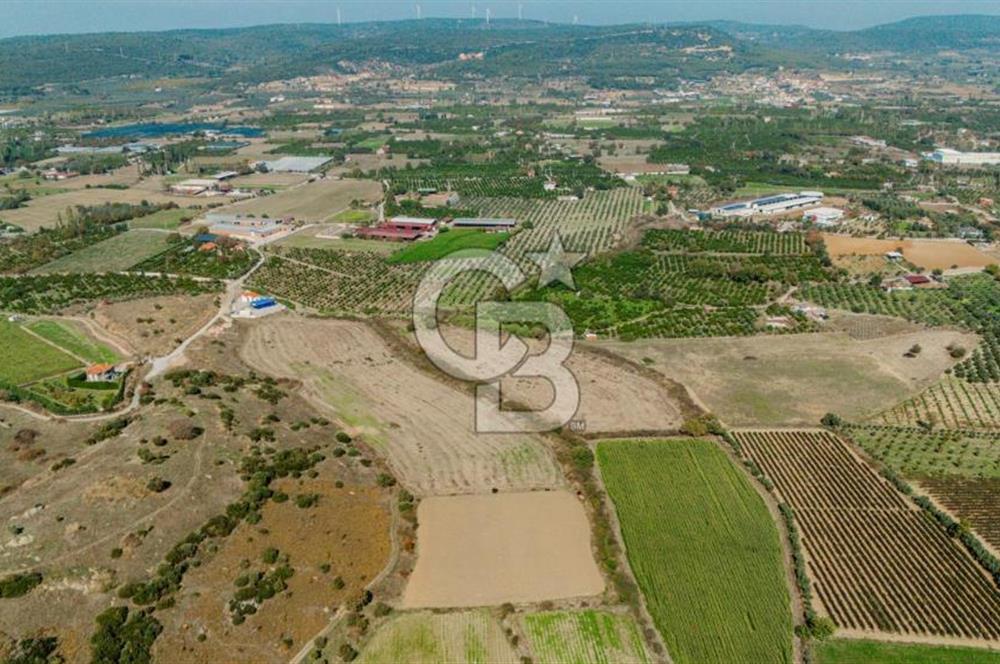 İzmir Seferihisar'da Yatırıma Uygun Satılık Tarla