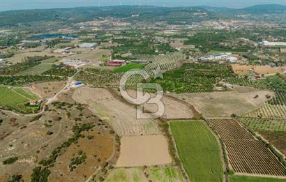 İzmir Seferihisar'da Yatırıma Uygun Satılık Tarla