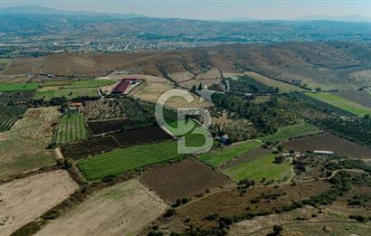 İzmir Seferihisar'da Yatırıma Uygun Satılık Tarla