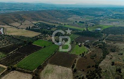 İzmir Seferihisar'da Yatırıma Uygun Satılık Tarla