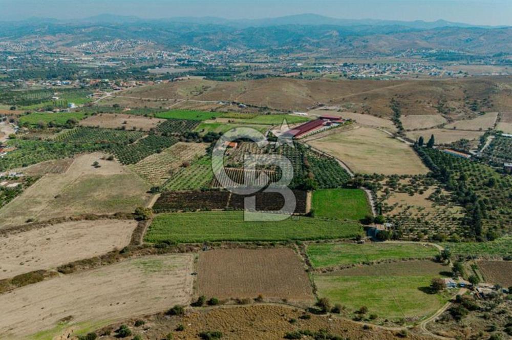 İzmir Seferihisar'da Yatırıma Uygun Satılık Tarla