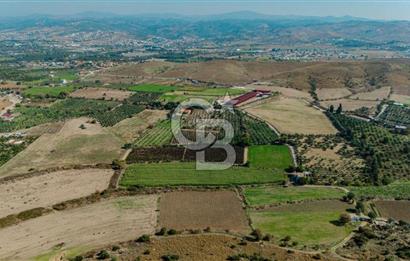 İzmir Seferihisar'da Yatırıma Uygun Satılık Tarla