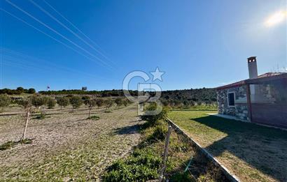 ALAÇATI'DA 20.204 M2 TARLA İÇERİSİNDE ORJİNAL TAŞ 3+1 ÇİFTLİK