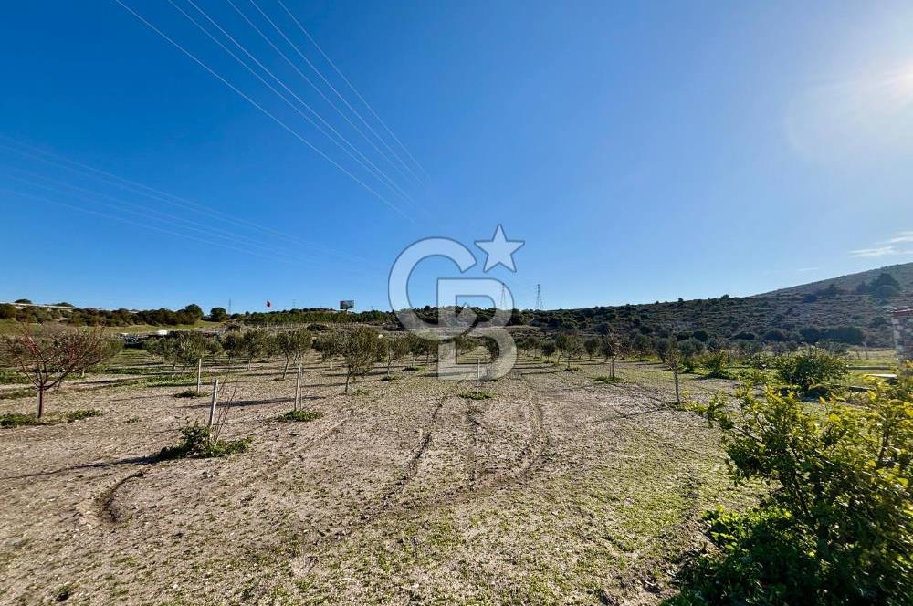 ALAÇATI'DA 20.204 M2 TARLA İÇERİSİNDE ORJİNAL TAŞ 3+1 ÇİFTLİK