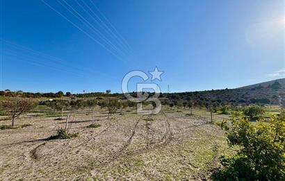 ALAÇATI'DA 20.204 M2 TARLA İÇERİSİNDE ORJİNAL TAŞ 3+1 ÇİFTLİK