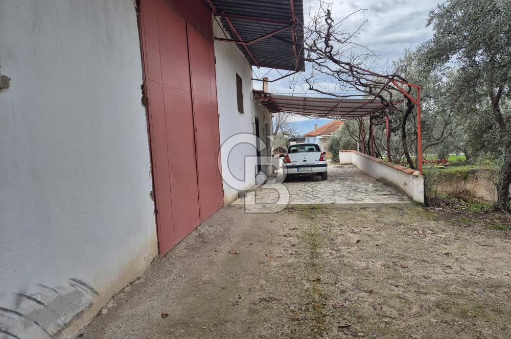 Salihli Yol Üzerinde Köyün İçinde Satılık 165 Dönüm İmarlı Zeytinlik