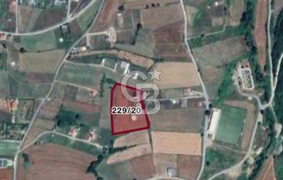 CB ONE'DAN ÇATALCA ÇİFTLİKKÖY MÜSTAKİL EV