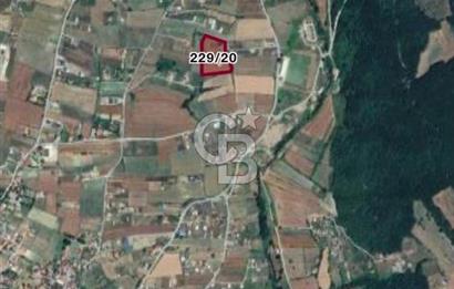 CB ONE'DAN ÇATALCA ÇİFTLİKKÖY MÜSTAKİL EV