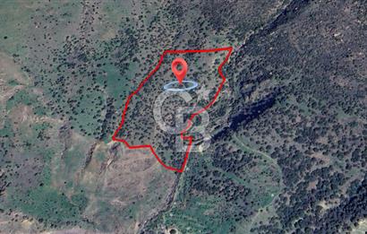 ÇANAKKALE BABAKALE'DE | 33 DÖNÜM DENİZ MANZARALI ZEYTİNLİK