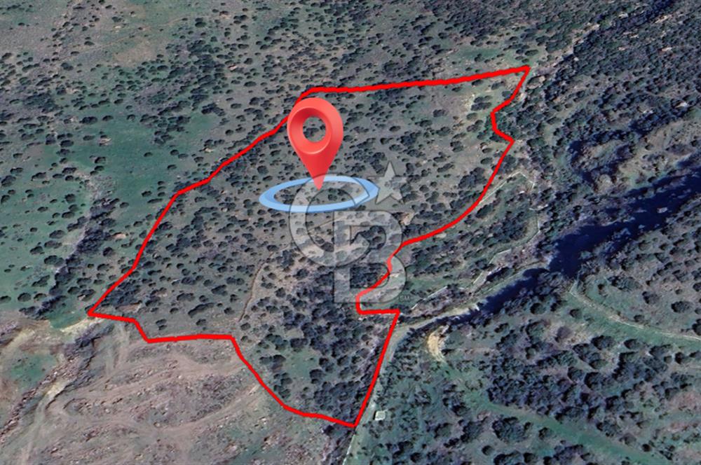 ÇANAKKALE BABAKALE'DE | 33 DÖNÜM DENİZ MANZARALI ZEYTİNLİK