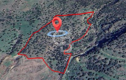 ÇANAKKALE BABAKALE'DE | 33 DÖNÜM DENİZ MANZARALI ZEYTİNLİK