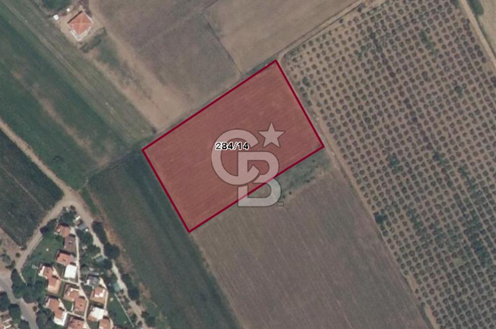 💎 Altınova’da İmar Sınırında, Denize Yürüyerek 10 Dakika!