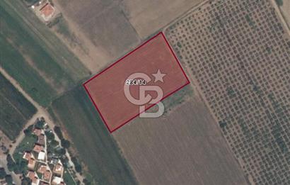 💎 Altınova’da İmar Sınırında, Denize Yürüyerek 10 Dakika!